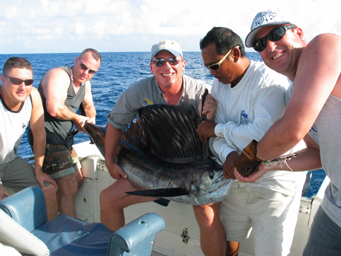 sailfishweb.jpg